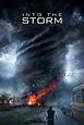 Into the Storm (2014) | The Poster Database (TPDb)