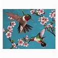 john cheng artist hummingbird - Aura Mcewen