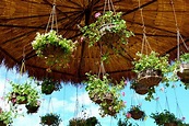 4 tips para hacer un jardín colgante - Decor Tips