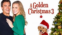 A Golden Christmas 3 (Movie, 2012) - MovieMeter.com
