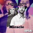 Calvin Harris & Ellie Goulding - Miracle (HenriqMoraes Remix ...
