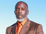 Michael K. Williams' Death Ruled an Accident, Fentanyl Was in His ...