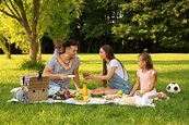 How to Pack the Perfect Picnic Basket for Every Occasion - INSTALL-IT ...