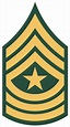 U.S. Military Rank Insignia