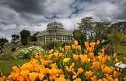 The National Botanic Gardens Glasnevin - Egans Guesthouse
