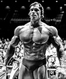 Arnold Schwarzenegger at his prime. Mr. Olympia 1969 : r/pics