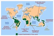 Map Of The World S Rainforests - World Map
