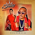 Speedy - Khumbula (feat. Nhlanhla Nciza 'Mafikizolo') - Grande De Musica