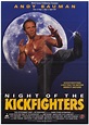 Night of the Kickfighters - la chronique de Nanarland