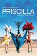 The Adventures of Priscilla, Queen of the Desert – ArtRage Gallery