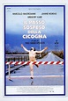 Il passo sospeso della cicogna (1991) | FilmTV.it