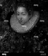 Countess Palatine Anna Maria of Neuburg Stock Photo - Alamy