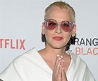 Lori Petty Biography - Facts, Childhood, Family Life of Actress