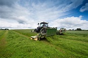 Guidelines to maximise the value of your silage crop – Part 1 ...