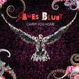 James Blunt - Carry You Home (2008, CD) | Discogs
