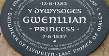 Gwenllian The Lost Princess of Wales