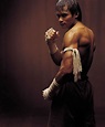 Thai Superstar TONY JAA To Join KICKBOXER Remake? - M.A.A.C.
