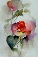 Love through roses Digital Art by Sabantha - Fine Art America