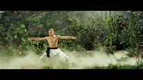 Jet Lee Shaolin Temple Original - YouTube