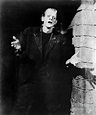 Boris Karloff In Frankenstein Photograph by Bettmann - Fine Art America