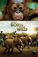 [1080p-HD] Born to Be Wild (2011) Película Ver Online Gnula - Ver ...