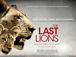 The Last Lions bag CMS Vatavaran Wildlife Film award | Hollywood ...
