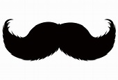 Bigote Vector Png Png Image Bigote Png Stunning Free Transparent ...