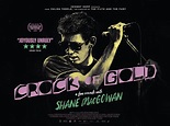 CROCK OF GOLD: A FEW ROUNDS WITH SHANE MACGOWAN (2020) Documentary ...