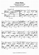 Potter Waltz By Patrick Doyle - Digital Sheet Music For Score ...