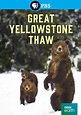 Great Yellowstone Thaw (2017) Television - hoopla