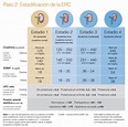 ENFERMEDAD RENAL CRÓNICA | Aravet Laboratorios