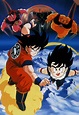 Dragon Ball Z: Kono Yo de Ichiban Tsuyoi Yatsu - Anime - AniDB