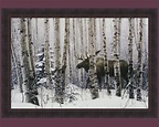 A Walk in the Woods by Stephen Lyman 29x41 Moose Winter Forest | Etsy