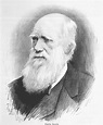 Biologia: La Teoria darwinista o Darwinismo