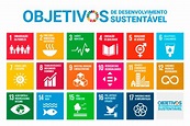 Objetivos de Desenvolvimento Sustentável: saiba a agenda 2030 da ONU