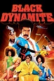 Reparto de Black Dynamite (película 2009). Dirigida por Scott Sanders ...