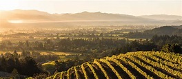 ᐉ 5 razones para visitar el Valle de Napa en California