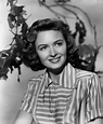 Donna Reed photo 2 of 7 pics, wallpaper - photo #241413 - ThePlace2