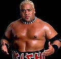 Picture of Rikishi