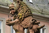 Alte Universität Heidelberg: Was es mit dem zweischwänzigen Löwen auf ...