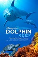 Sección visual de Delfines, la vida en el arrecife - FilmAffinity