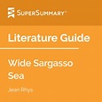 Wide Sargasso Sea Literature Guide by SuperSummary | TpT