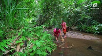 คนกับป่า และการอยู่ร่วมกันได้อย่างสันติสุข - มูลนิธิสืบนาคะเสถียร