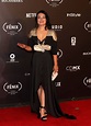 Giovanna Zacarias – Fenix Film Awards 2017 in Mexico City • CelebMafia