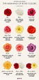 DIY a thoughtful bouquet of roses! Learn the meaning of your favorite ...