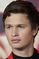 Ansel Elgort - Wikipedia