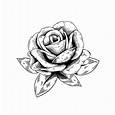 Rose Flower Vector Drawing | How do I enable image search?