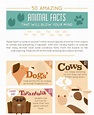 50 Amazing Animal Facts That Will Blow Your Mind - Venngage Infographic ...