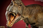 Newly discovered dinosaur reveals how T. rex became king of the ...