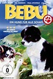 Mist: The Tale of a Sheepdog Puppy (2006) — The Movie Database (TMDB)